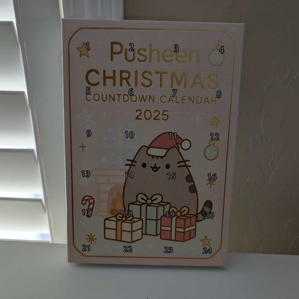 Pusheen Advent Calendar Resin Charms